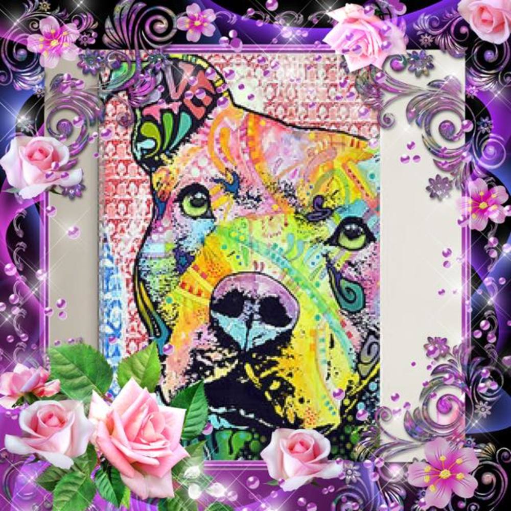 Meet your Posher, Morgana